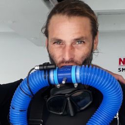 Cryptic Crypto Diver avatar