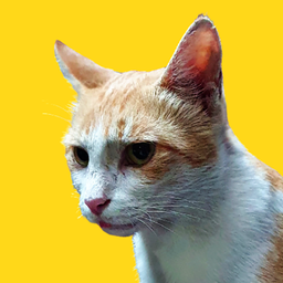 Yellowdoodle avatar