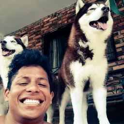 YohanZz avatar