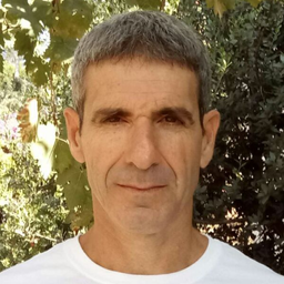 yoram avatar