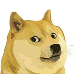 멍뭉이 avatar