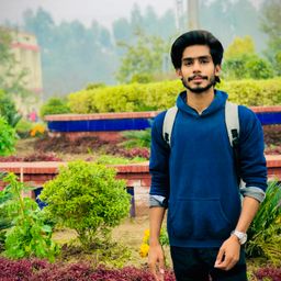 Ameer Hamza avatar