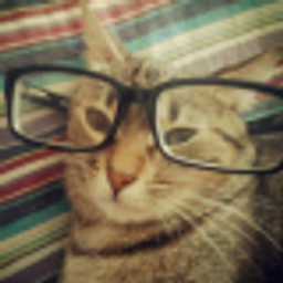 zaipeba avatar