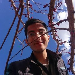 Zaniyar  avatar