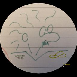 zbordom avatar
