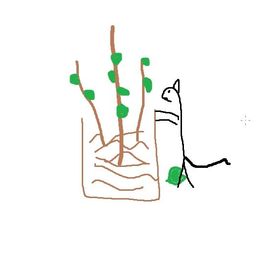 zbry avatar