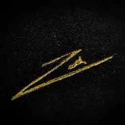 ZEESH avatar