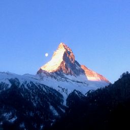 Zermatt avatar