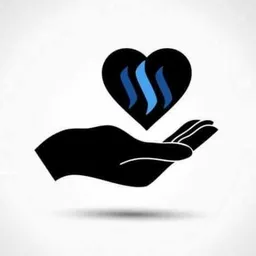 zinlay avatar