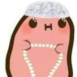 zorto avatar