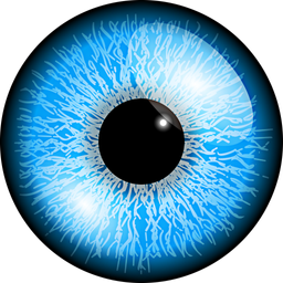 zut.allure avatar
