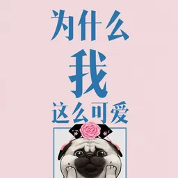 zy懒洋洋 avatar