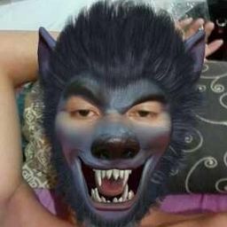 zzz3 avatar